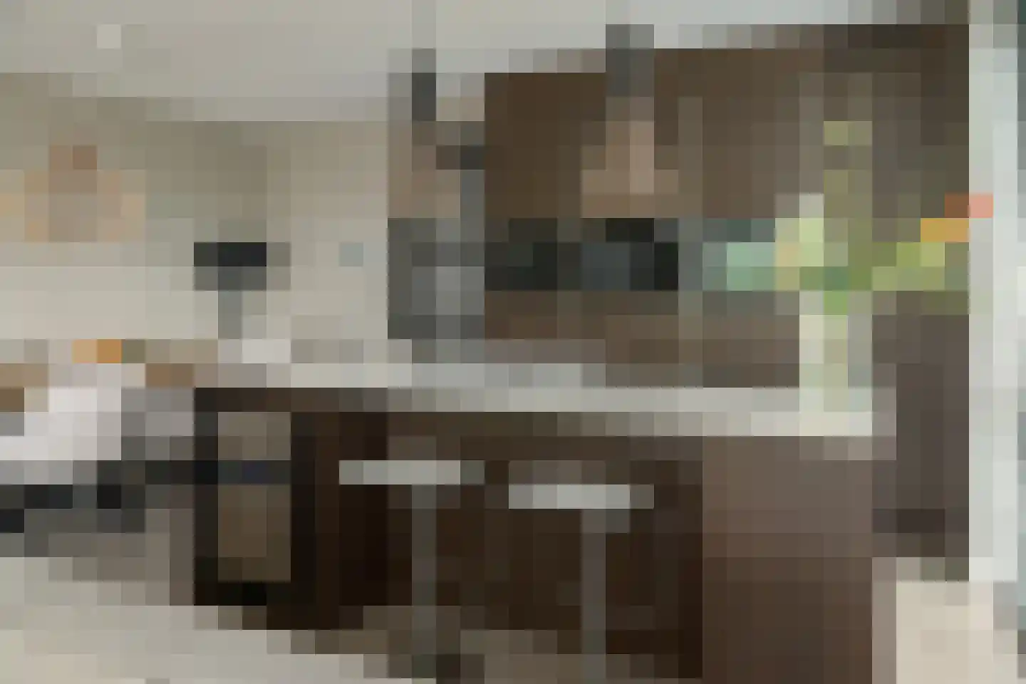Stevenshoek 47 Langweer thumbnail 15