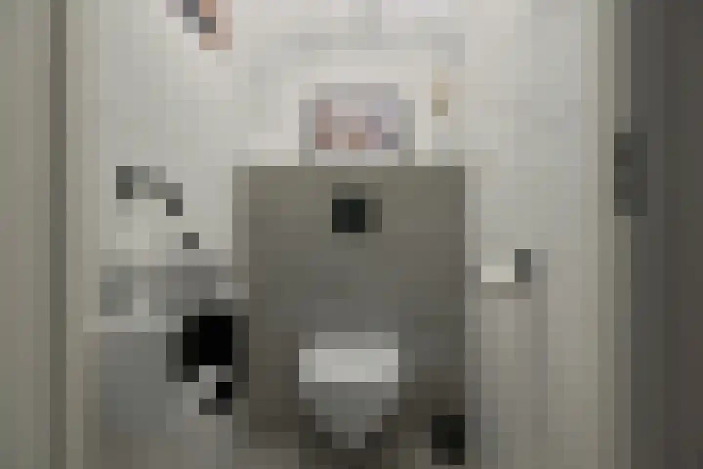 Stevenshoek 47 Langweer thumbnail 22