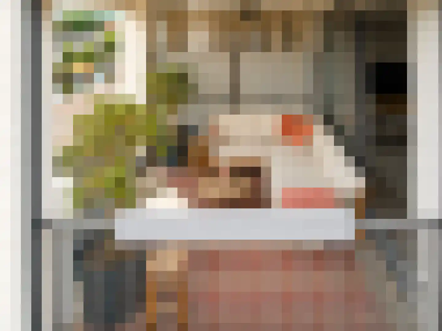 Stevenshoek 47 Langweer thumbnail 9