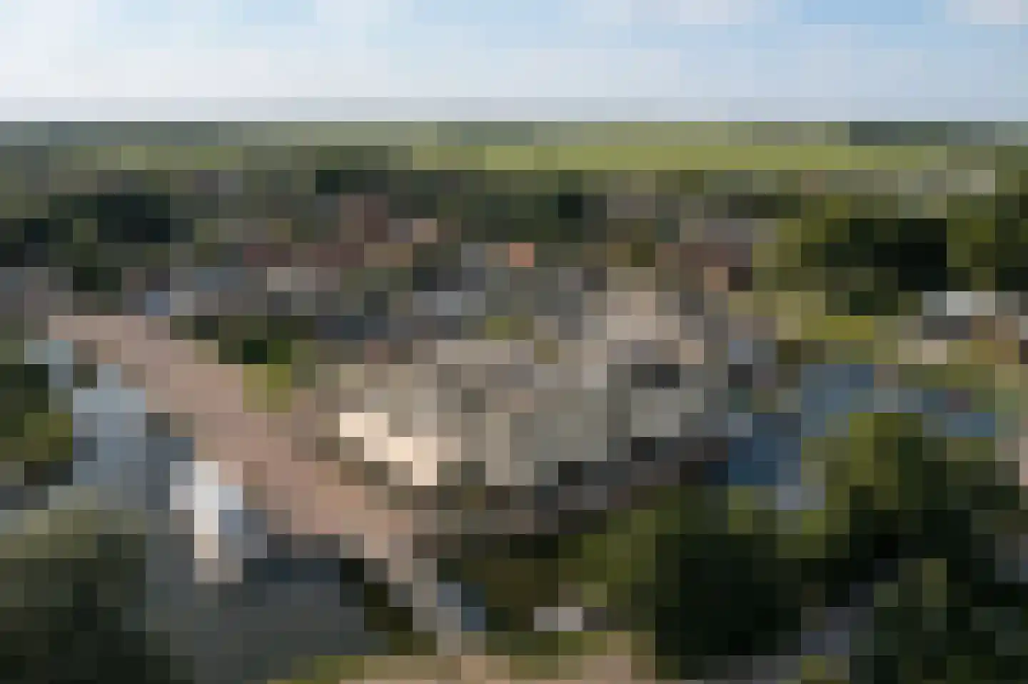 Stevenshoek 47 REC Langweer thumbnail 21