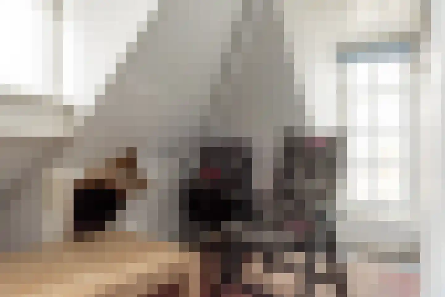 Stevenshoek 7 Langweer thumbnail 16