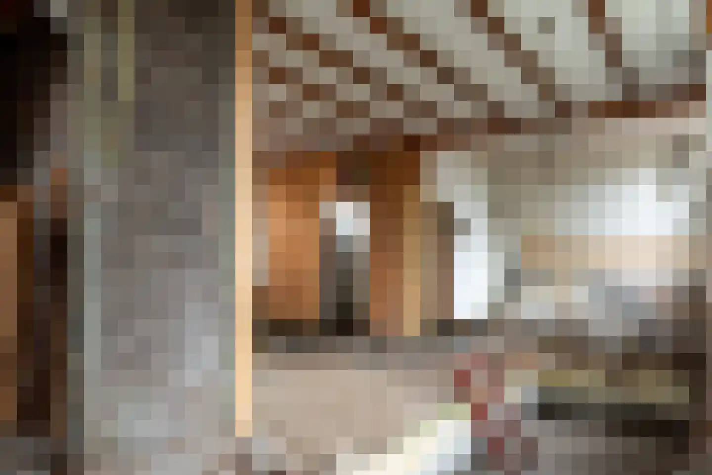 Stevenshoek 7 Langweer thumbnail 4