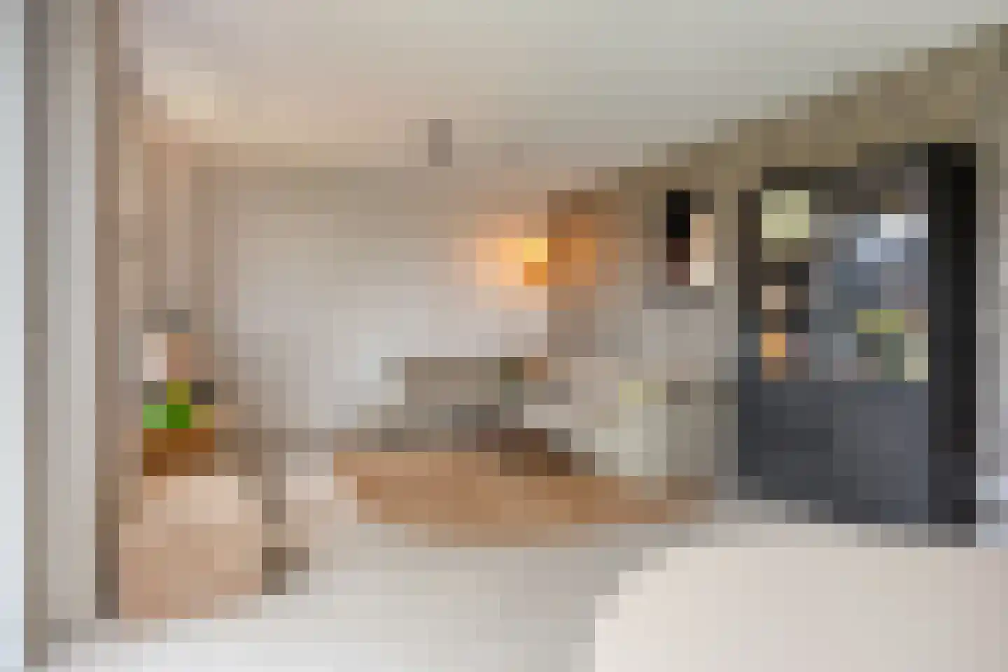 Stevenshoeve 13 Veghel thumbnail 13