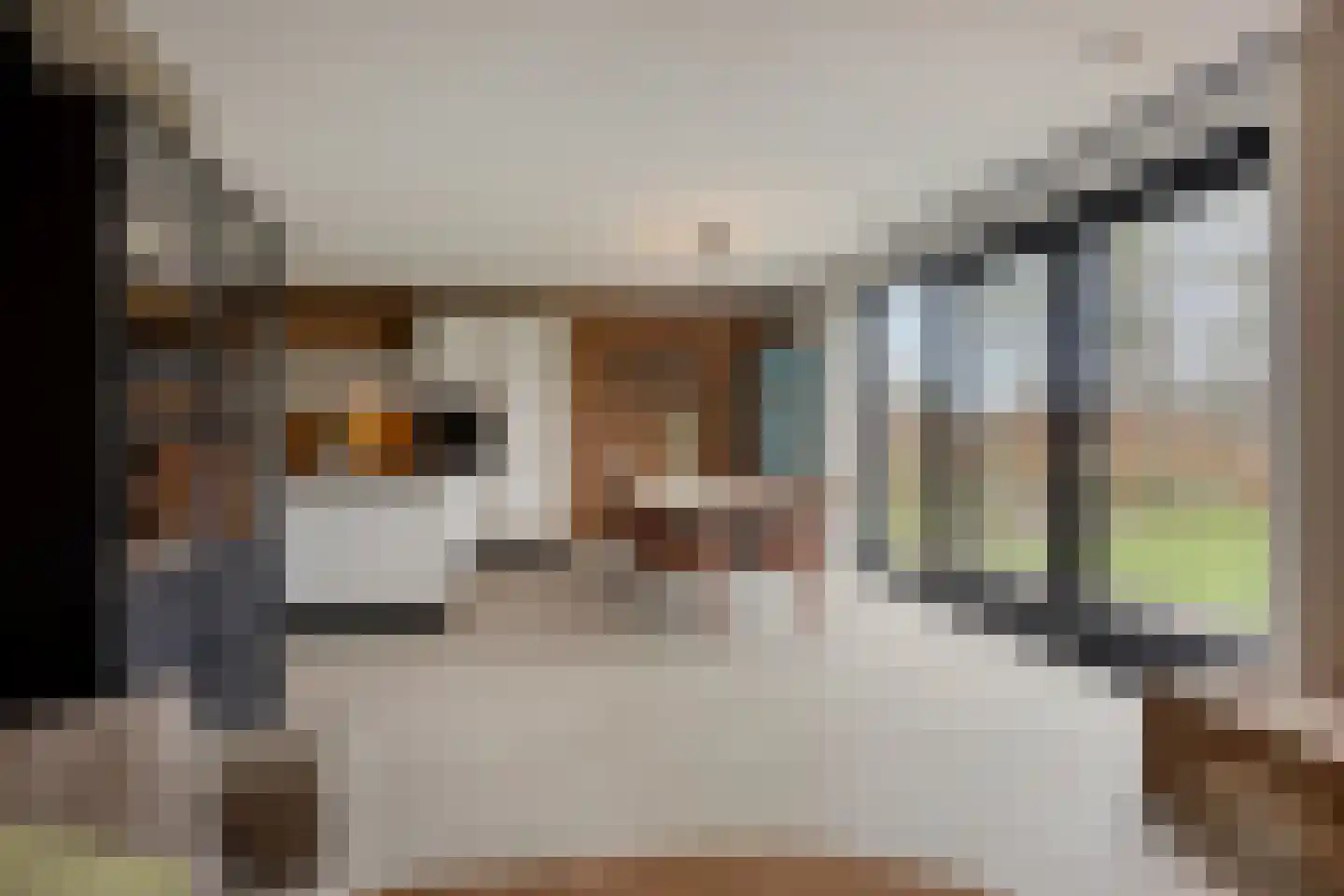 Stevenshoeve 13 Veghel thumbnail 14