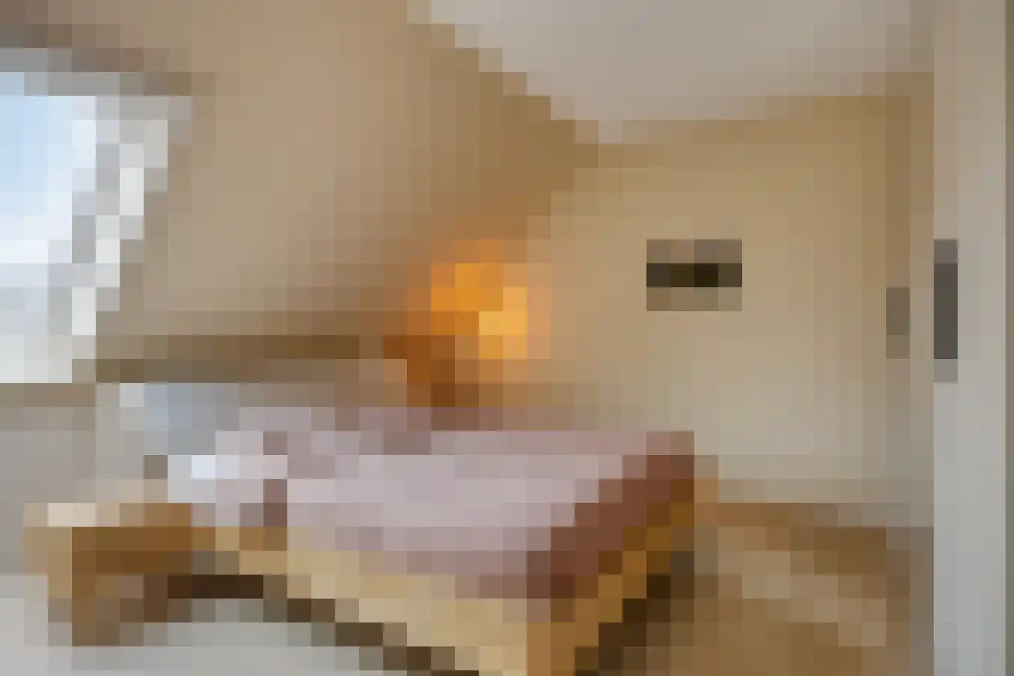 Stevenshoeve 13 Veghel thumbnail 22