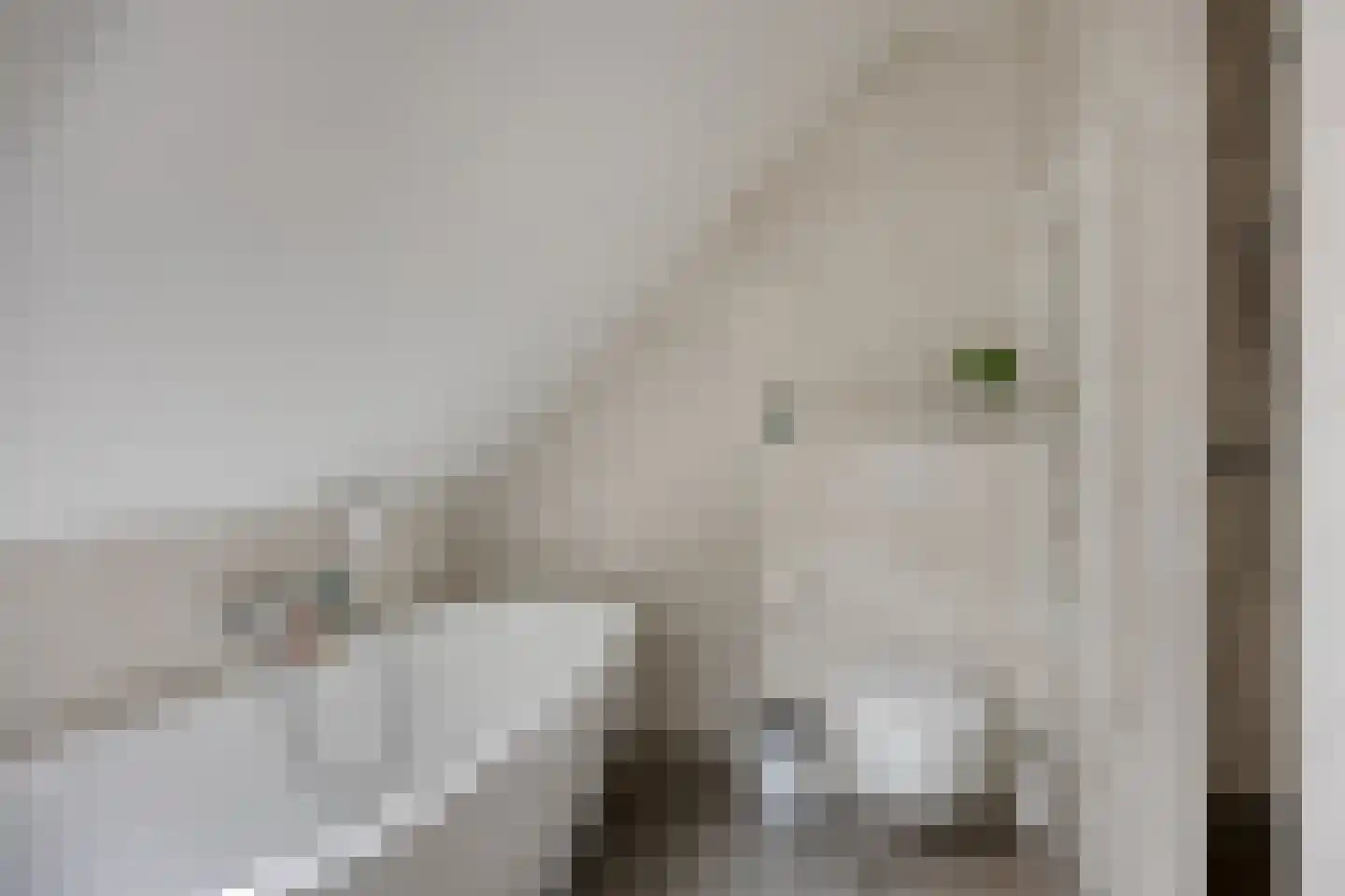 Stevenshoeve 13 Veghel thumbnail 23