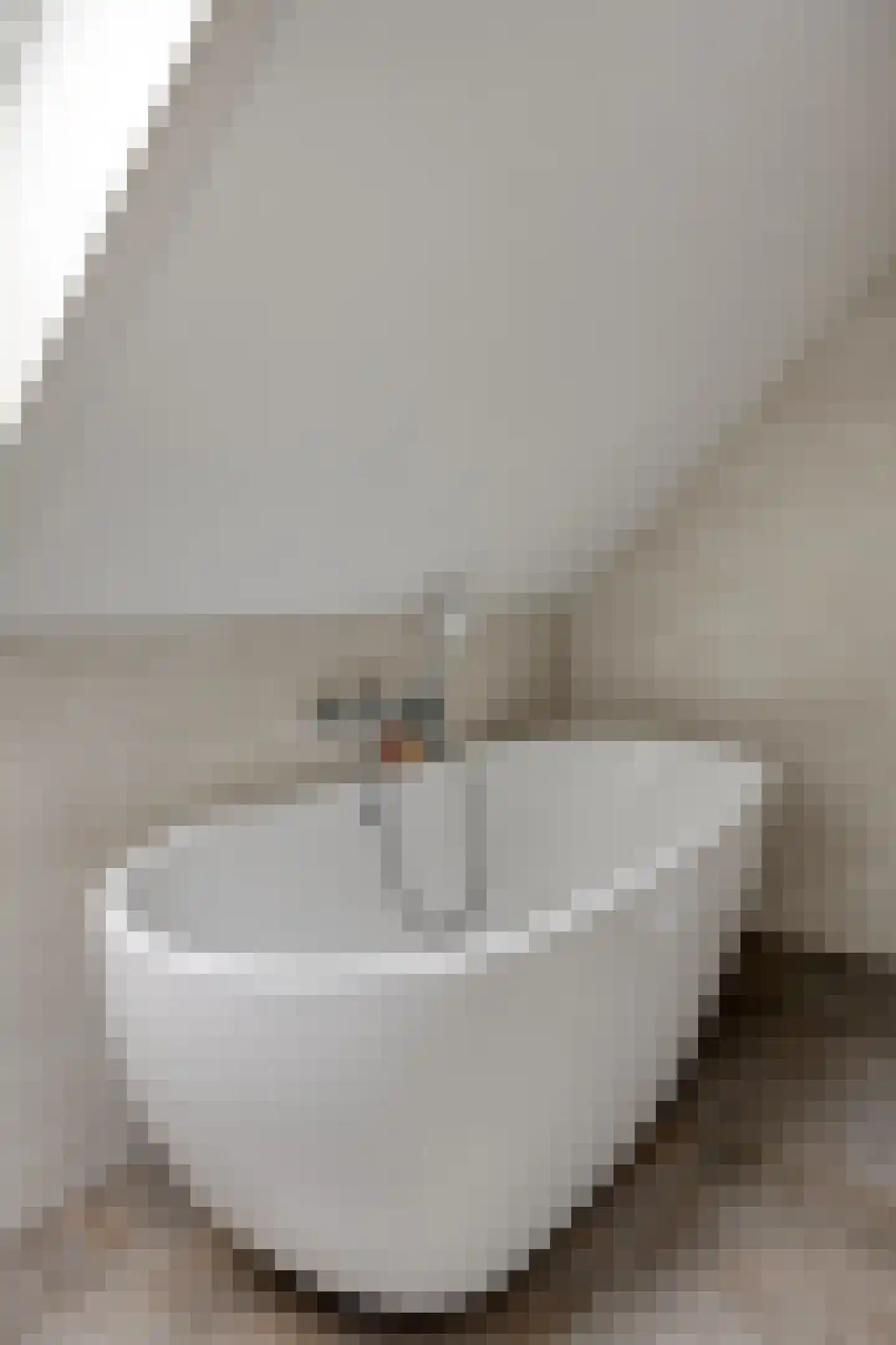 Stevenshoeve 13 Veghel thumbnail 24