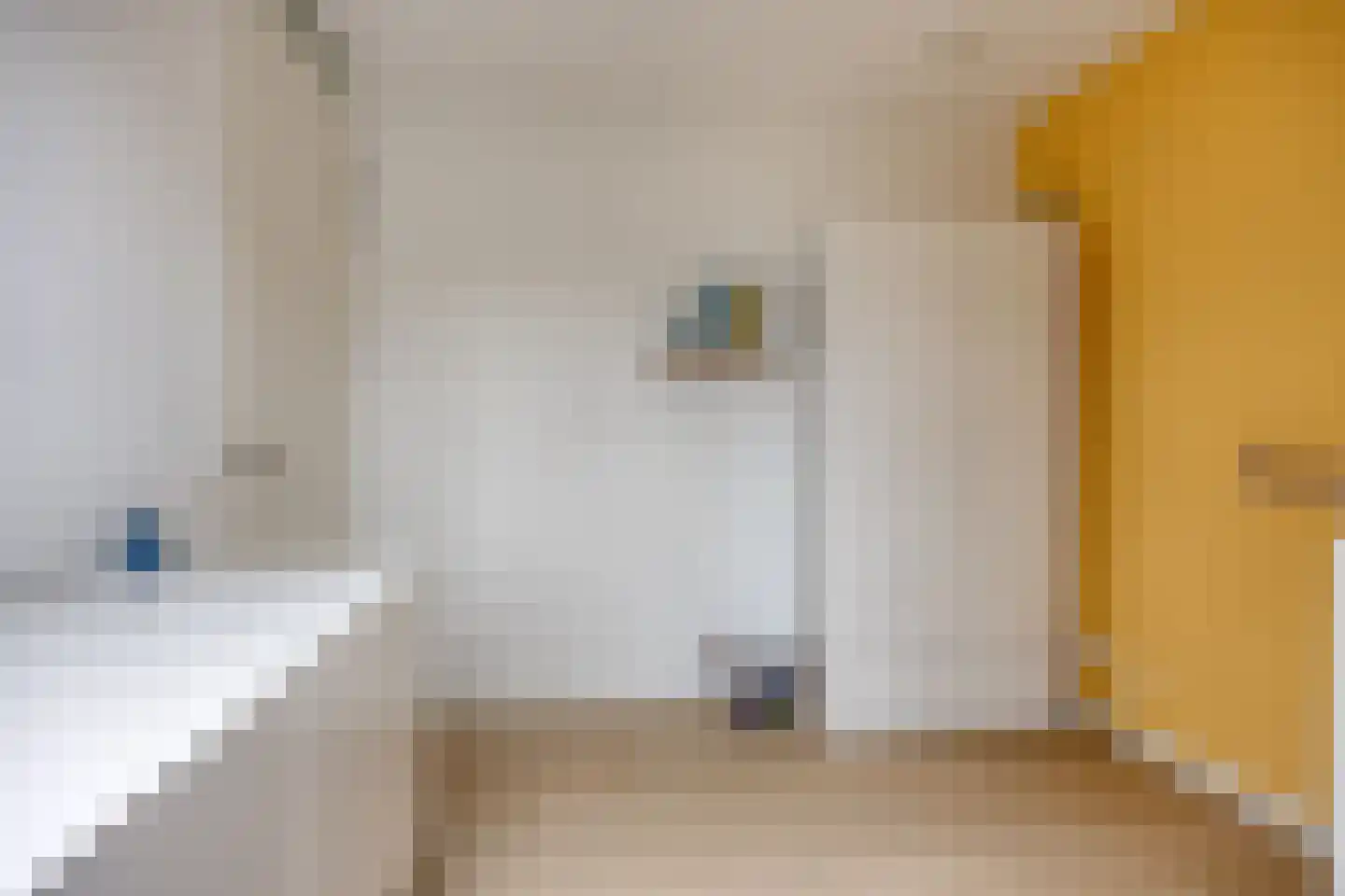 Stevenshoeve 13 Veghel thumbnail 30