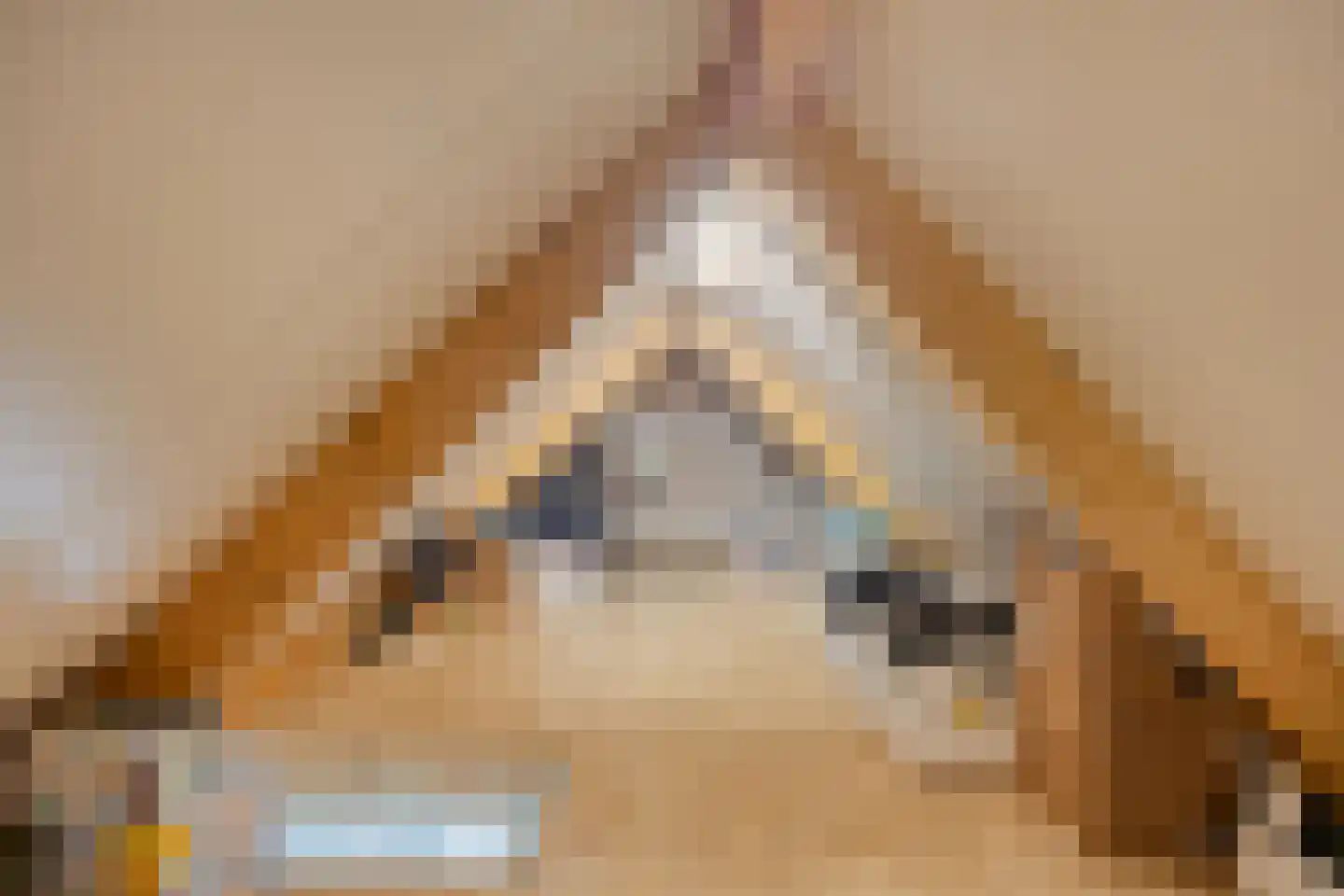 Stevenshoeve 13 Veghel thumbnail 31