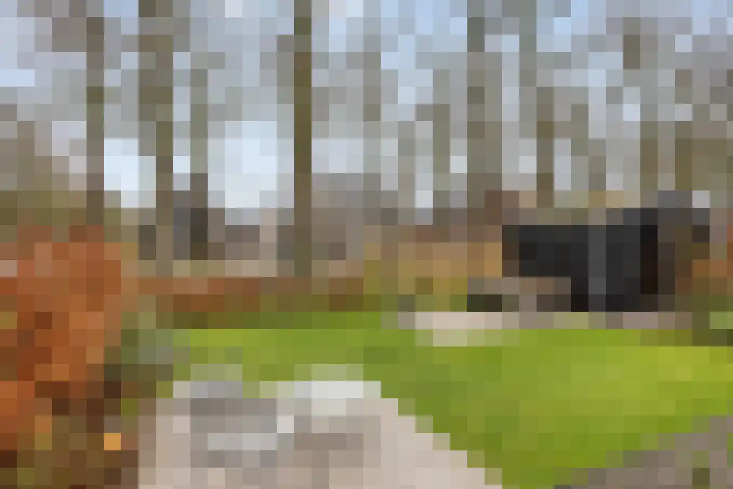 Stevenshoeve 13 Veghel thumbnail 34