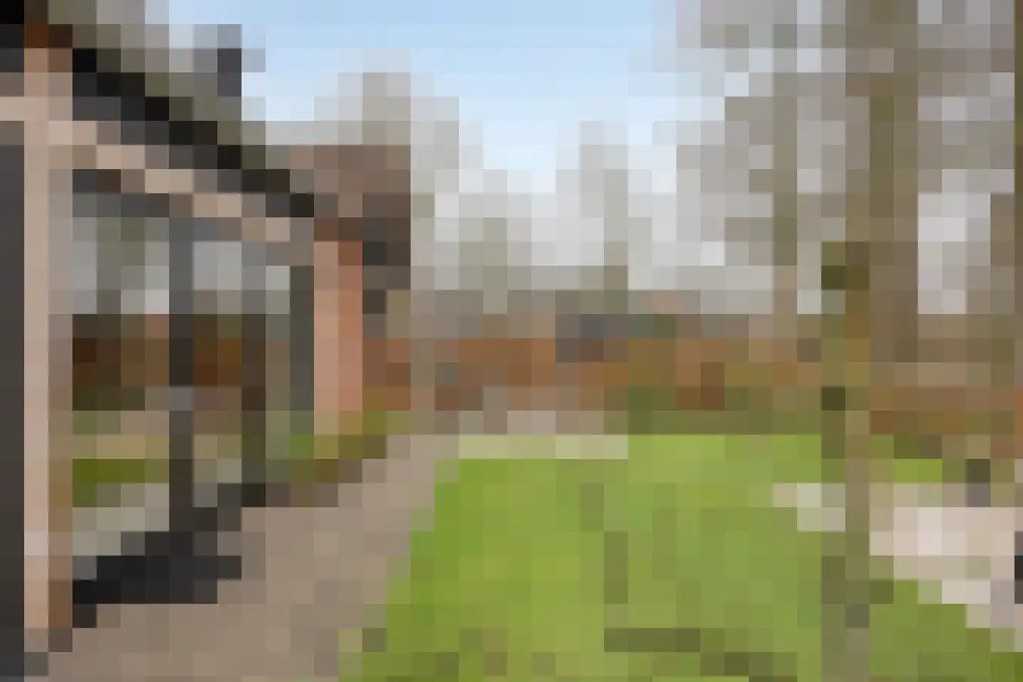 Stevenshoeve 13 Veghel thumbnail 36