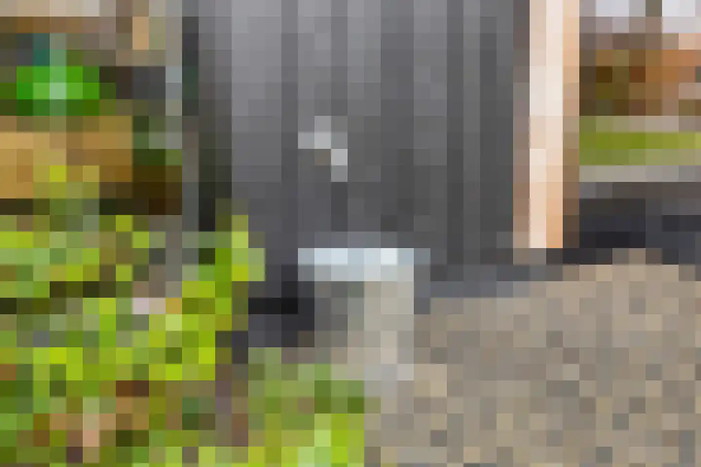 Stevenshoeve 13 Veghel thumbnail 37