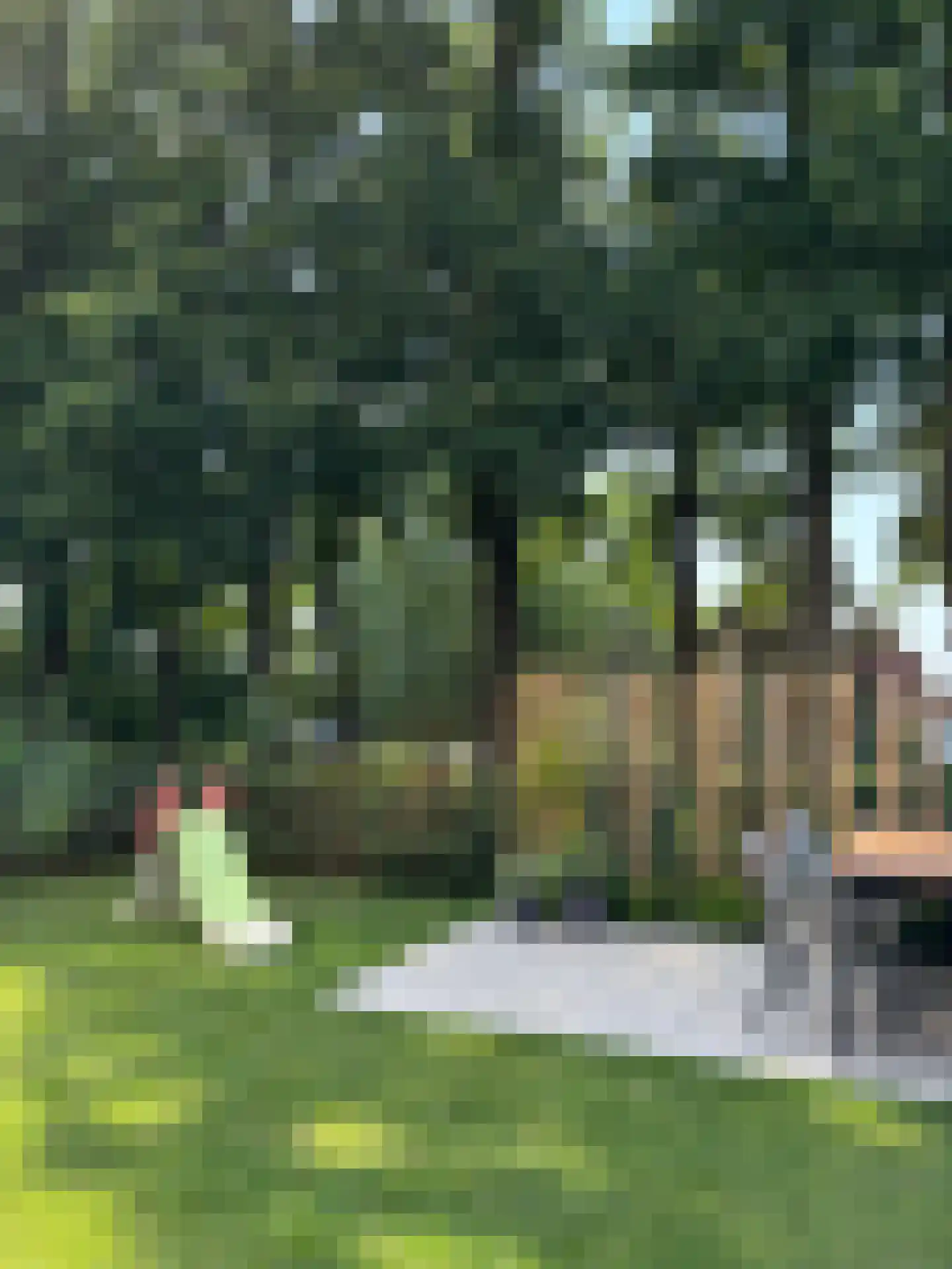 Stevenshoeve 13 Veghel thumbnail 40