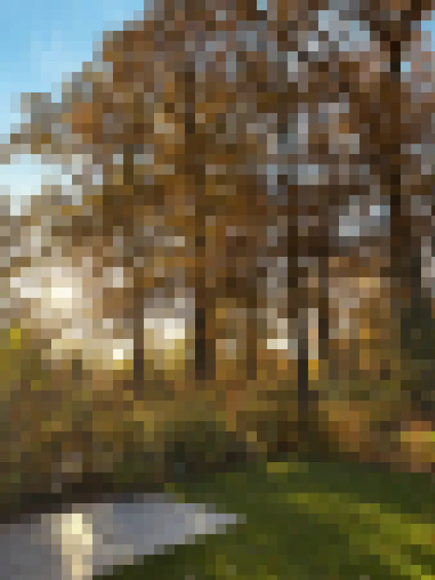 Stevenshoeve 13 Veghel thumbnail 41