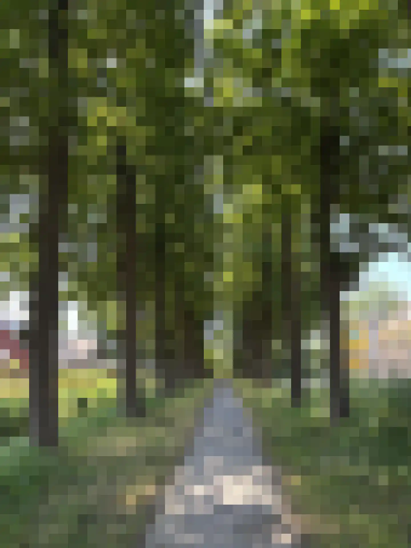Stevenshoeve 13 Veghel thumbnail 42