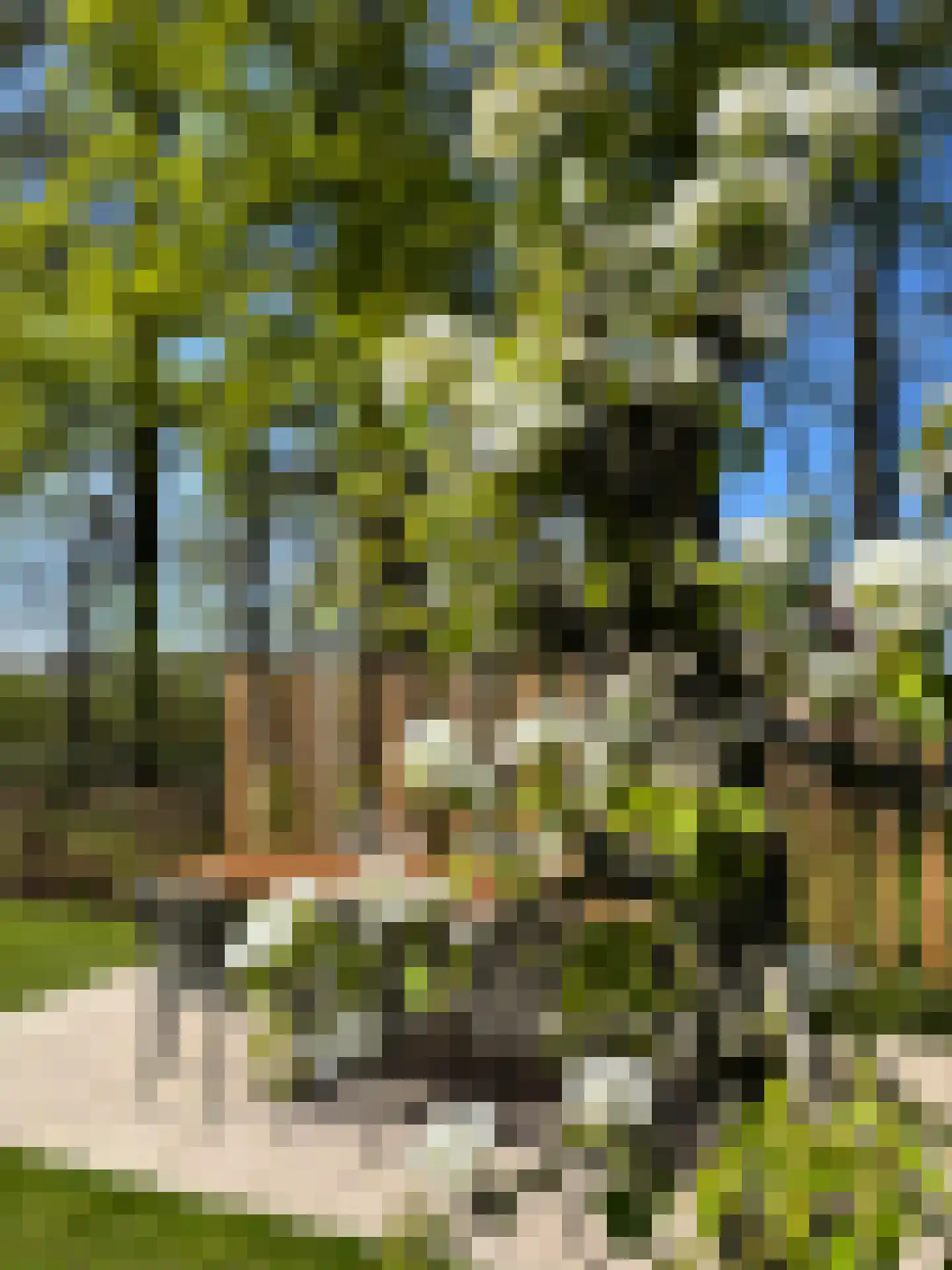 Stevenshoeve 13 Veghel thumbnail 43