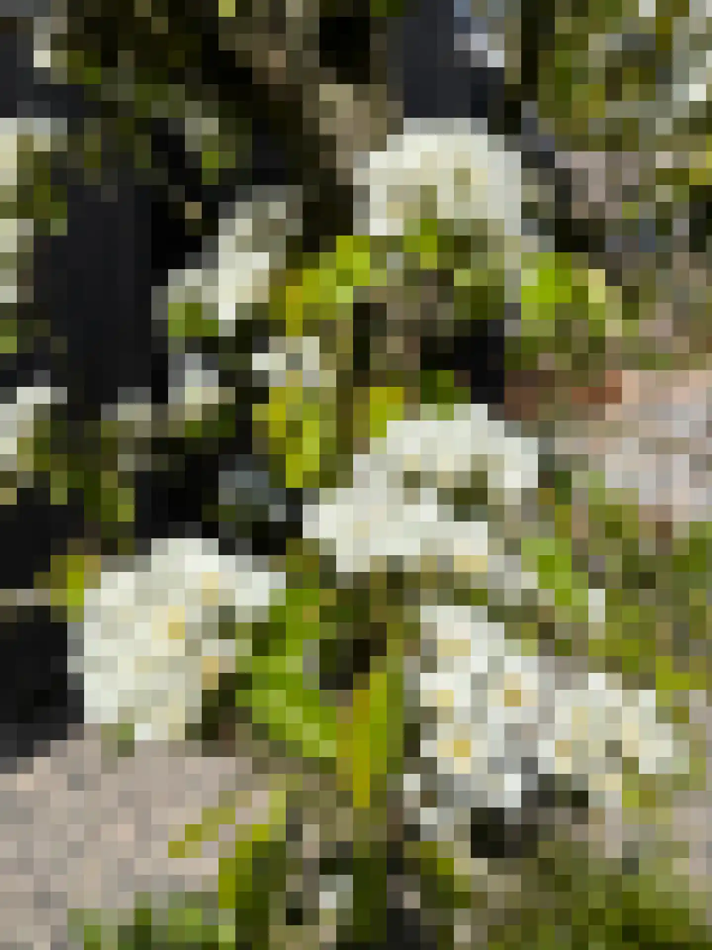 Stevenshoeve 13 Veghel thumbnail 44