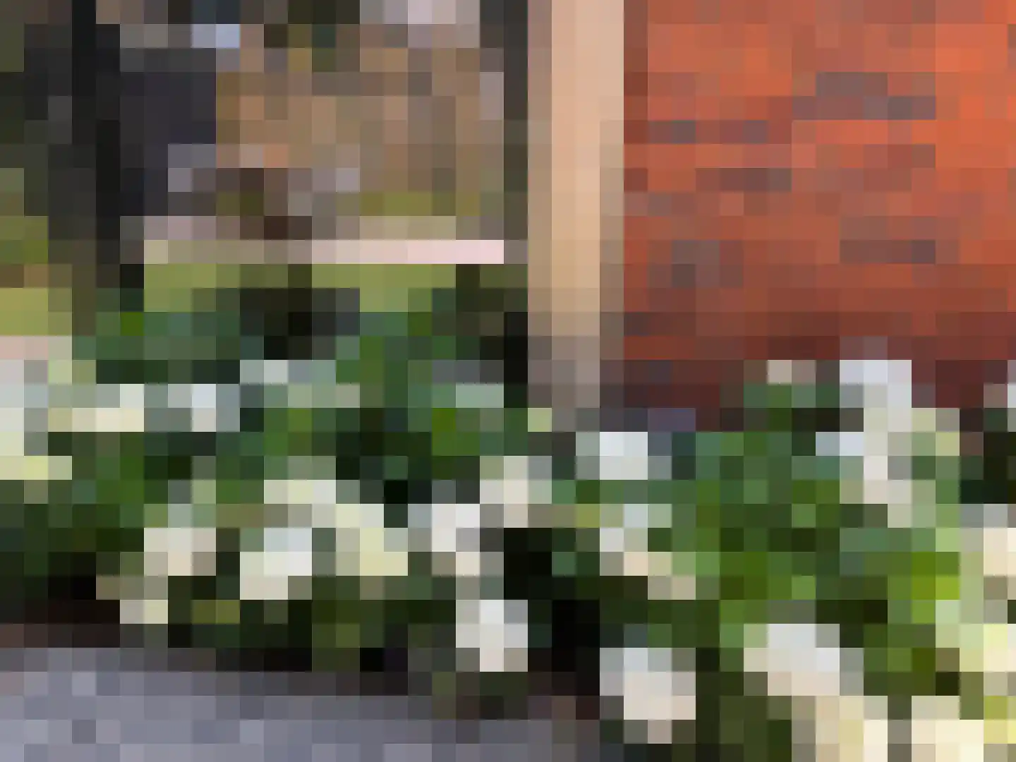 Stevenshoeve 13 Veghel thumbnail 45
