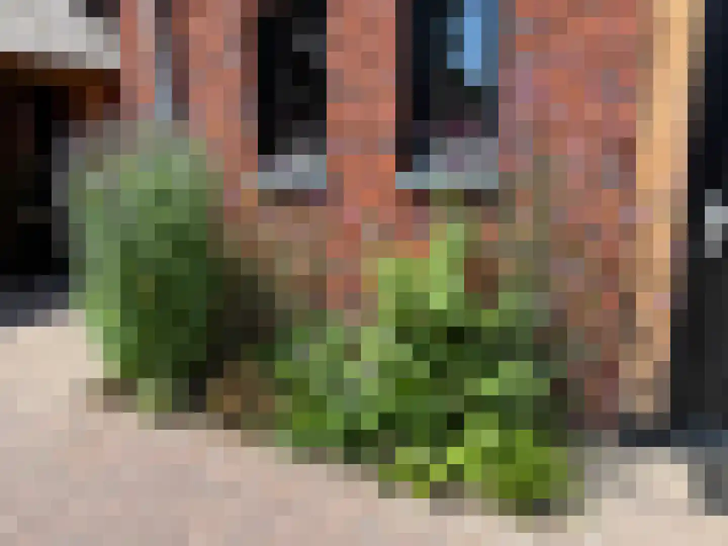 Stevenshoeve 13 Veghel thumbnail 46