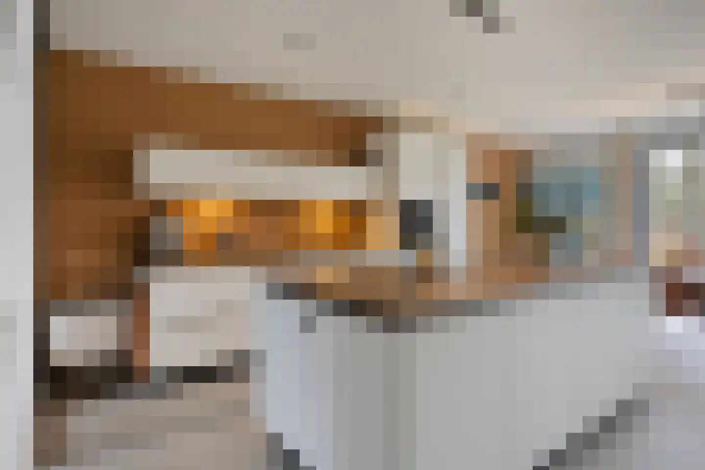 Stevenshoeve 13 Veghel thumbnail 5