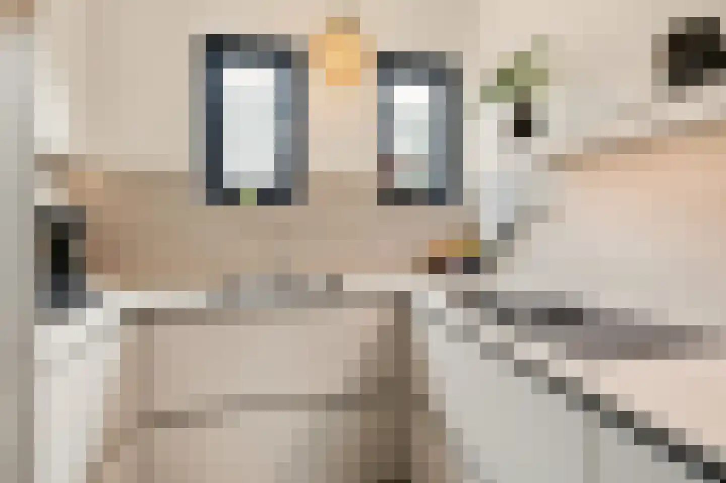 Stevenshoeve 14 Veghel thumbnail 21