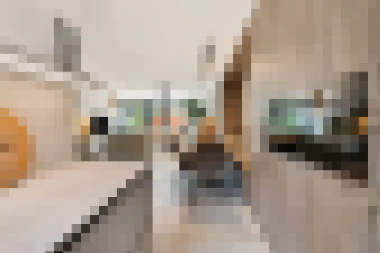 Stevenshoeve 14 Veghel thumbnail 22