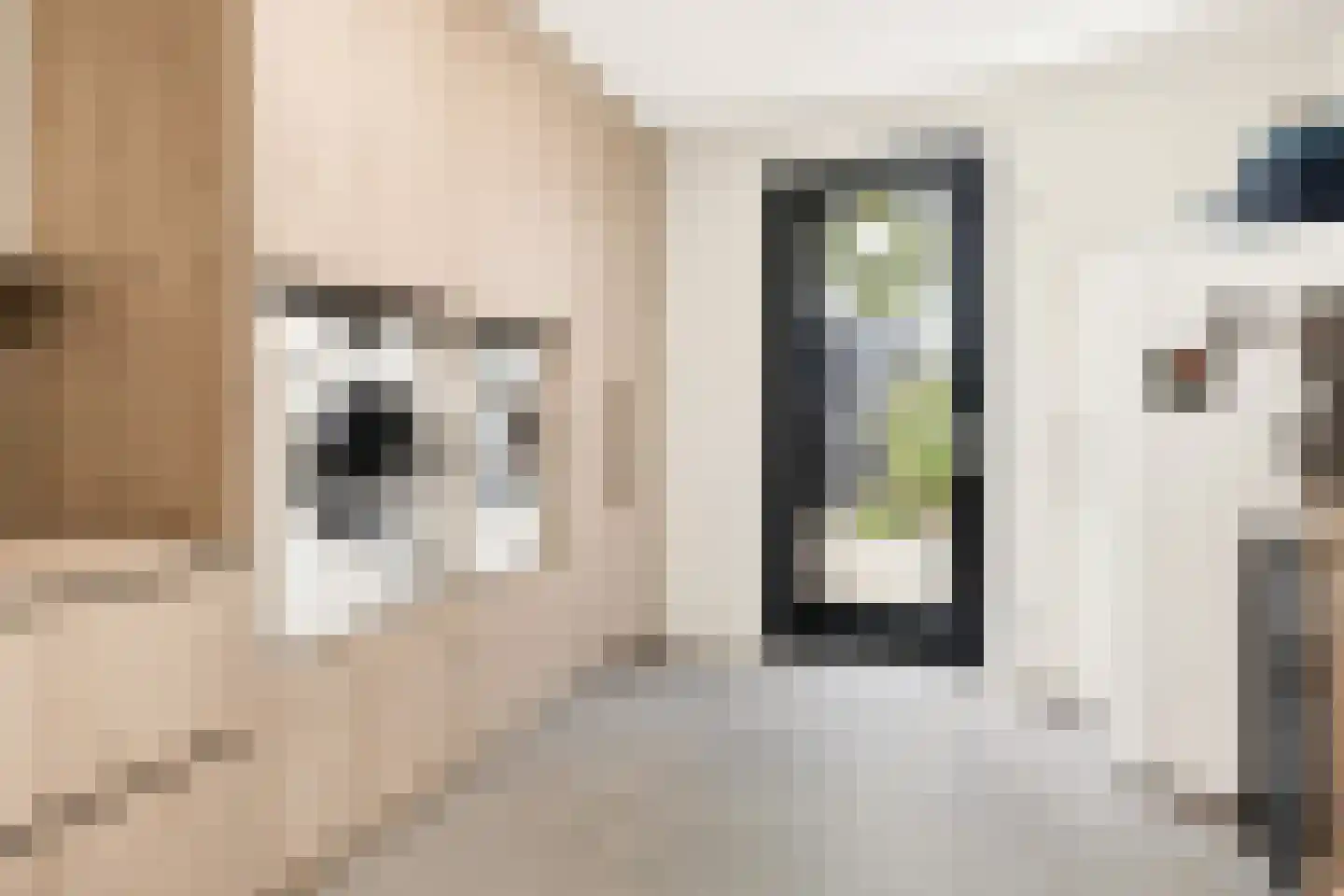 Stevenshoeve 14 Veghel thumbnail 23
