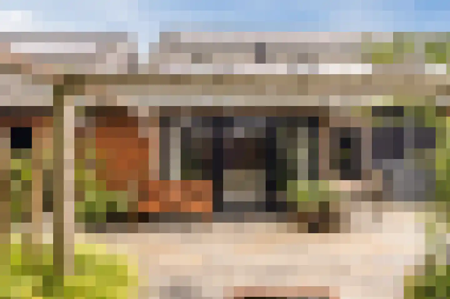 Stevenshoeve 14 Veghel thumbnail 37