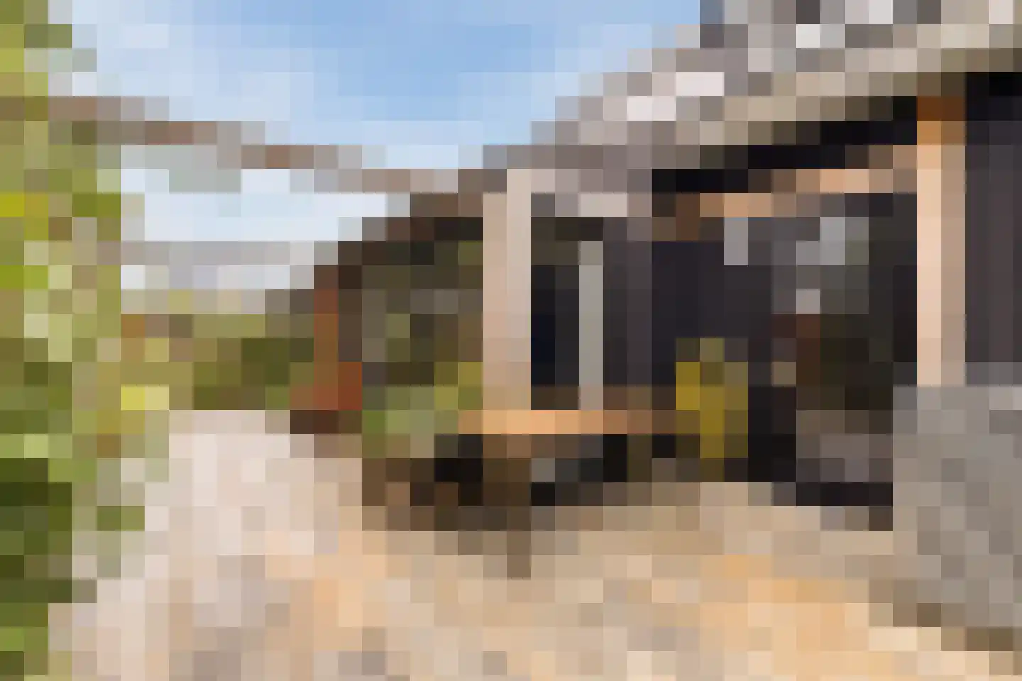 Stevenshoeve 14 Veghel thumbnail 38