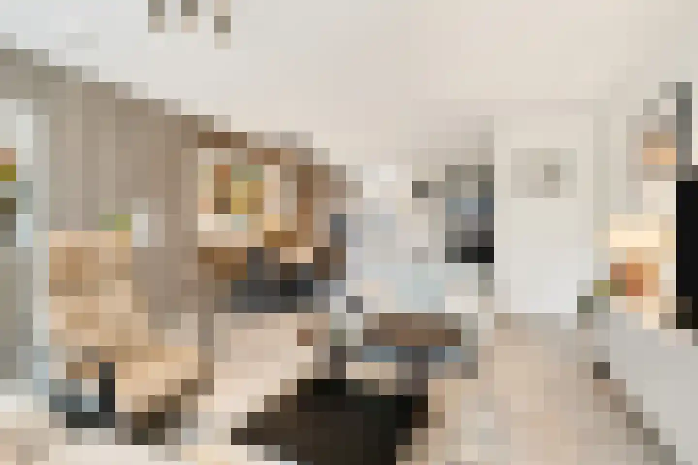 Stevenshoeve 14 Veghel thumbnail 4