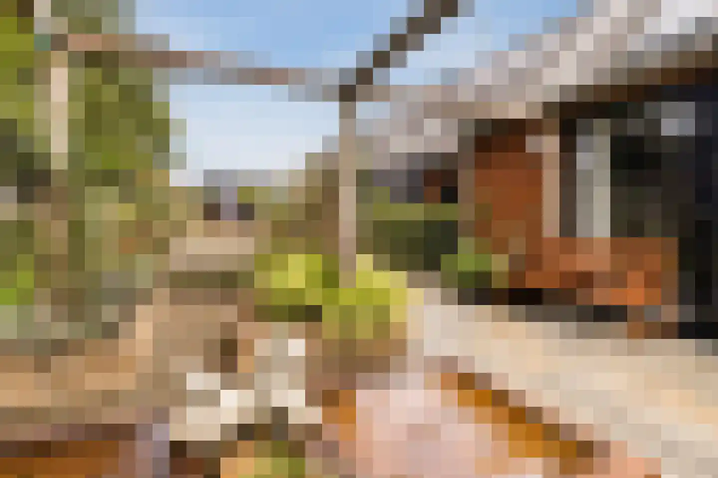 Stevenshoeve 14 Veghel thumbnail 40