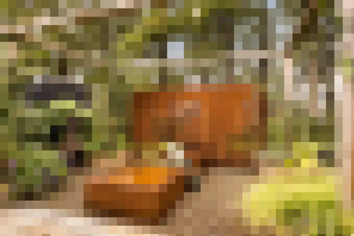 Stevenshoeve 14 Veghel thumbnail 42