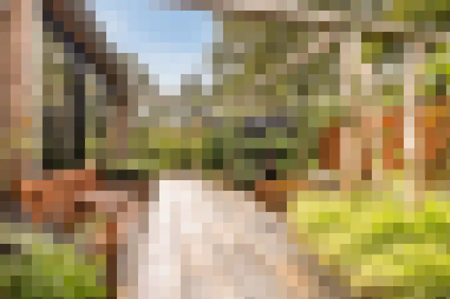 Stevenshoeve 14 Veghel thumbnail 43