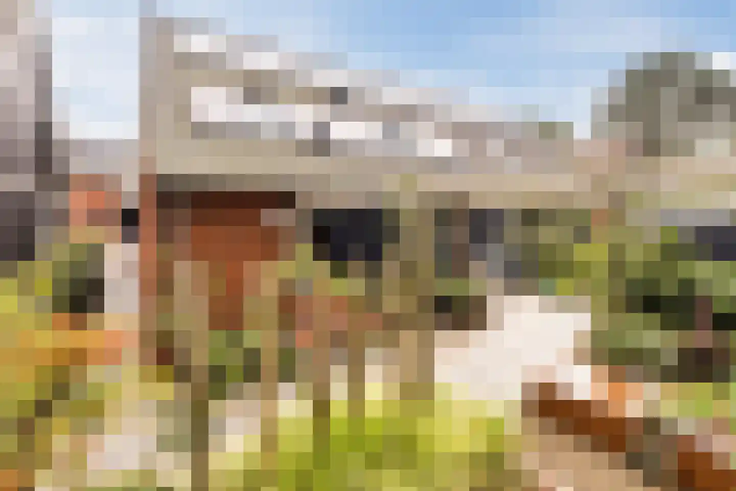 Stevenshoeve 14 Veghel thumbnail 44