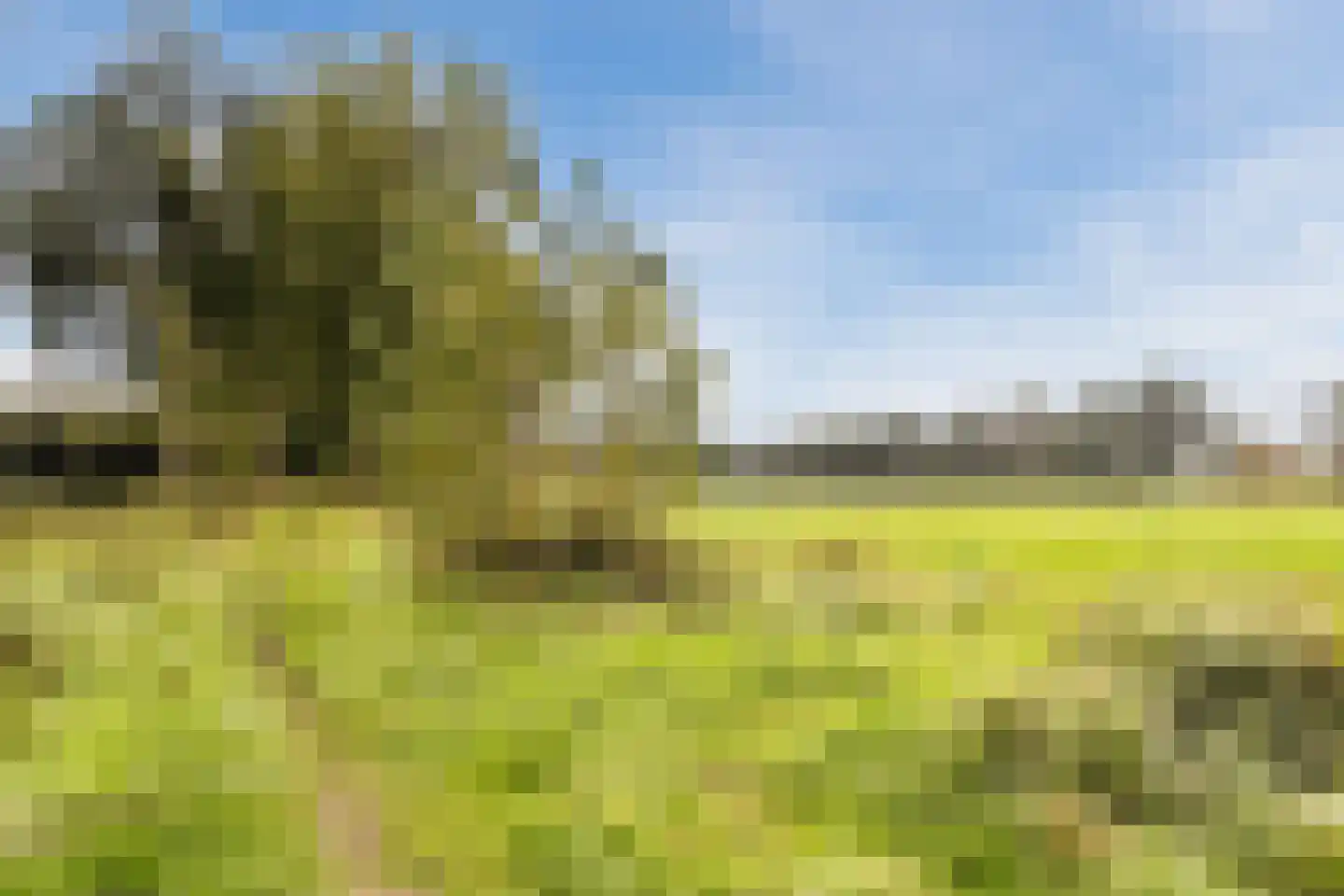 Stevenshoeve 14 Veghel thumbnail 46