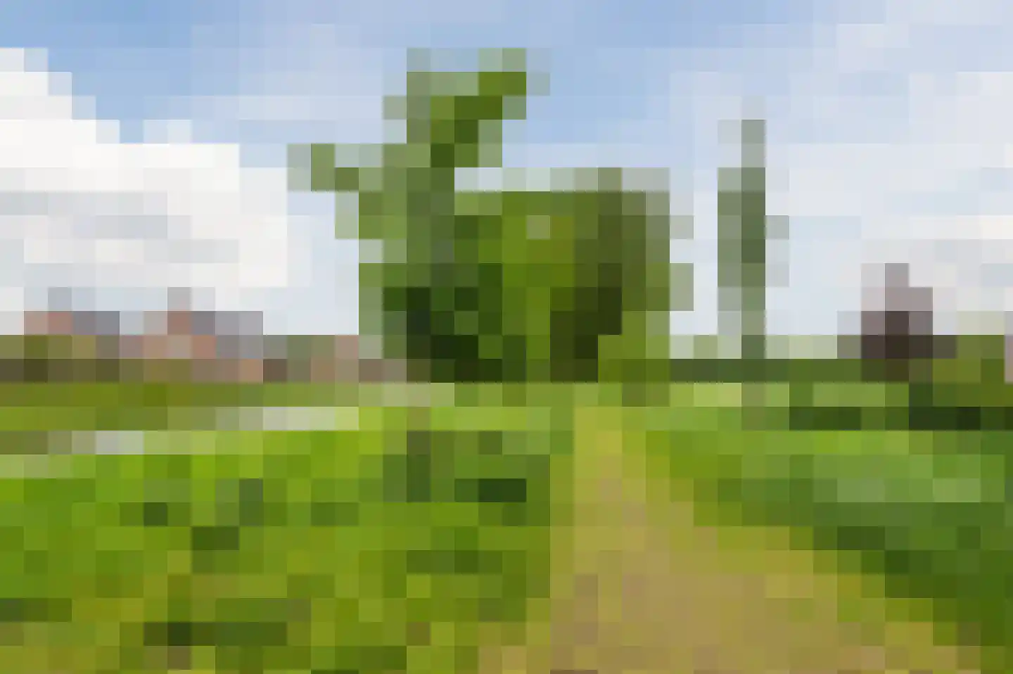 Stevenshoeve 14 Veghel thumbnail 47