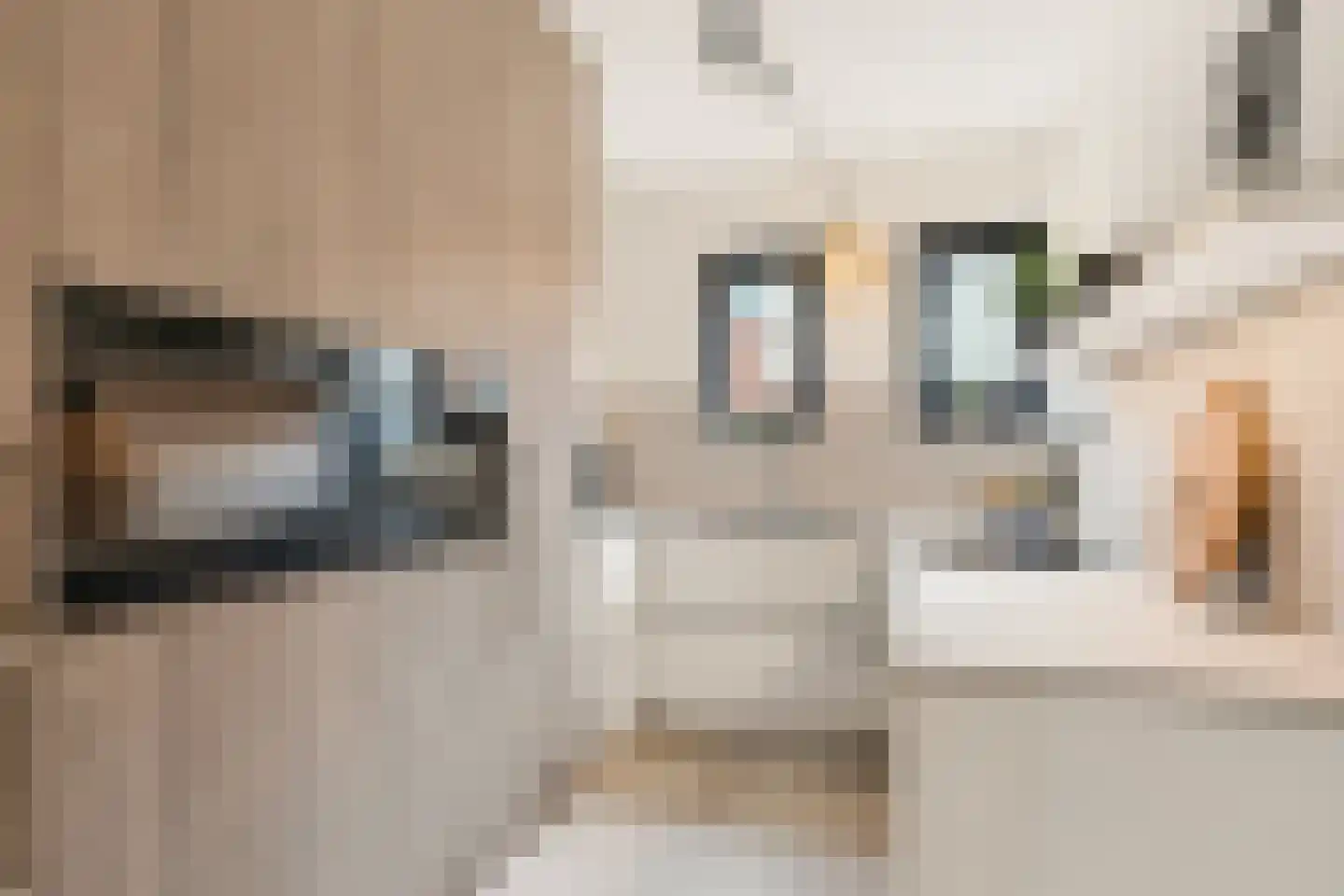 Stevenshoeve 14 Veghel thumbnail 5