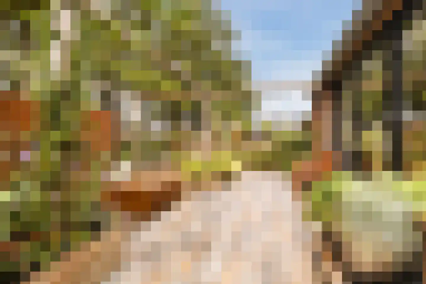 Stevenshoeve 14 Veghel thumbnail 8