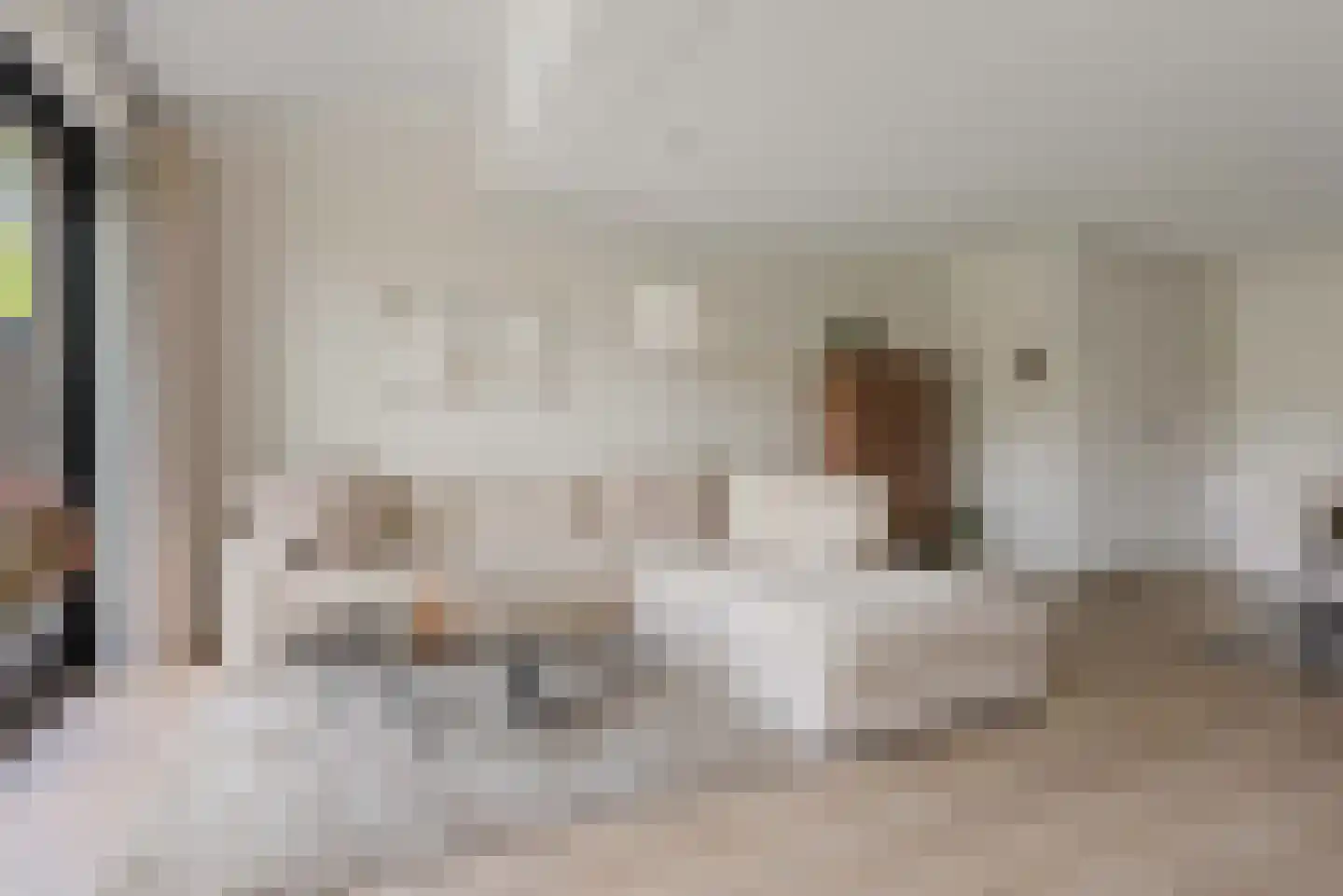 Stevenshoeve 15 Veghel thumbnail 10