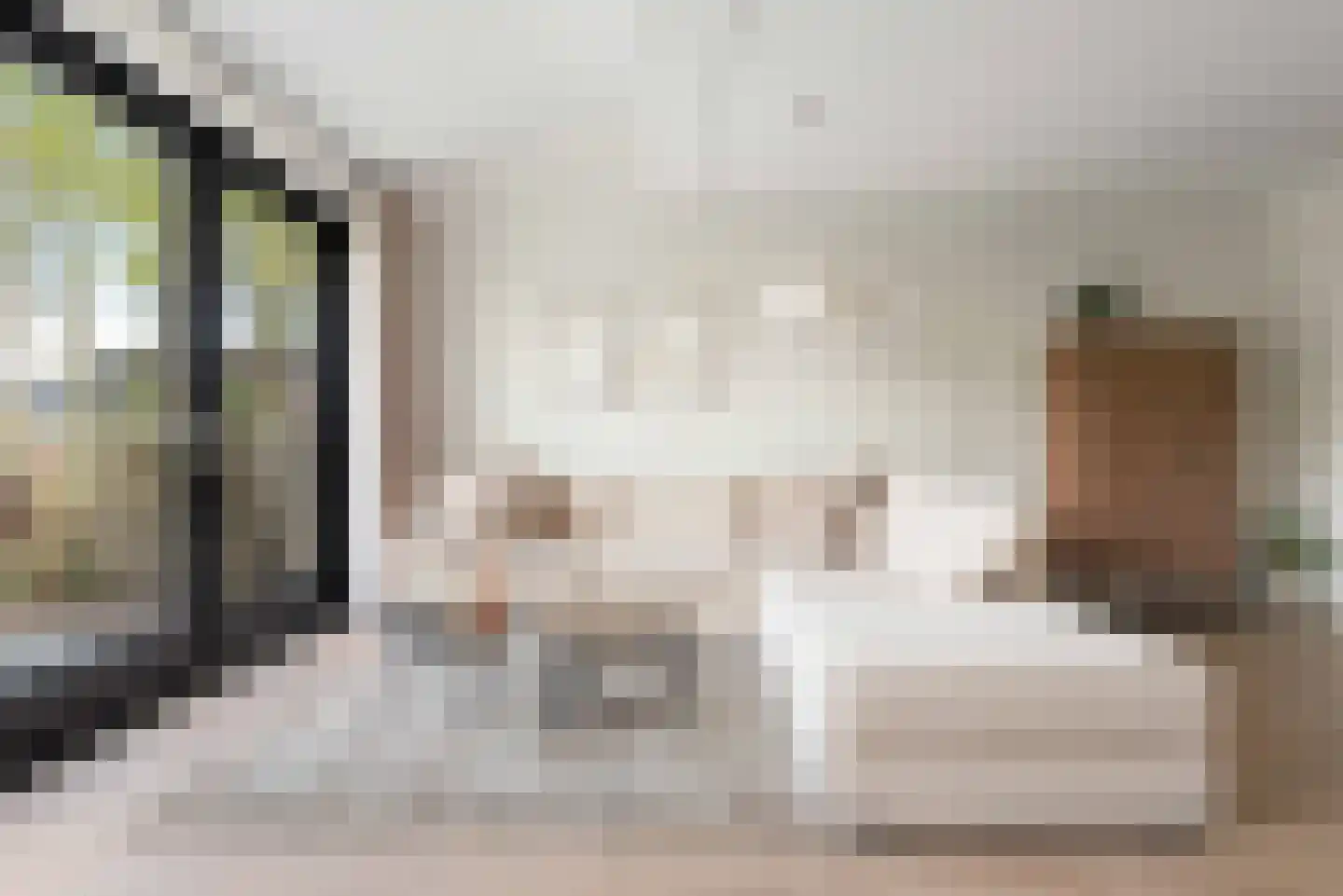 Stevenshoeve 15 Veghel thumbnail 12