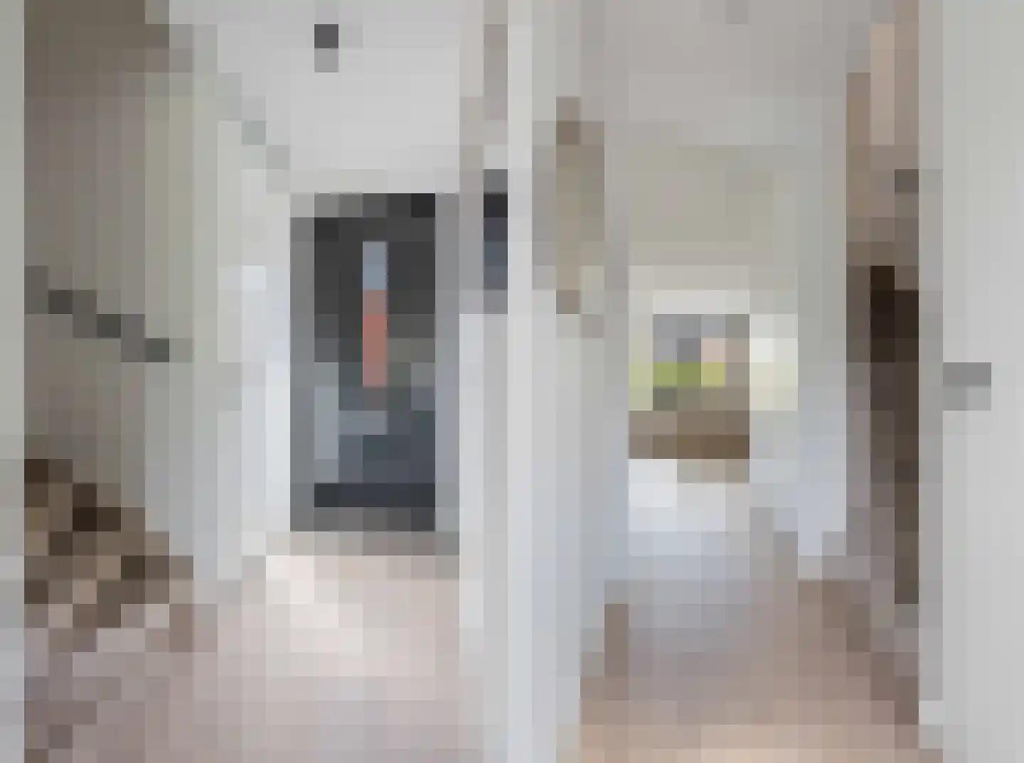 Stevenshoeve 15 Veghel thumbnail 20