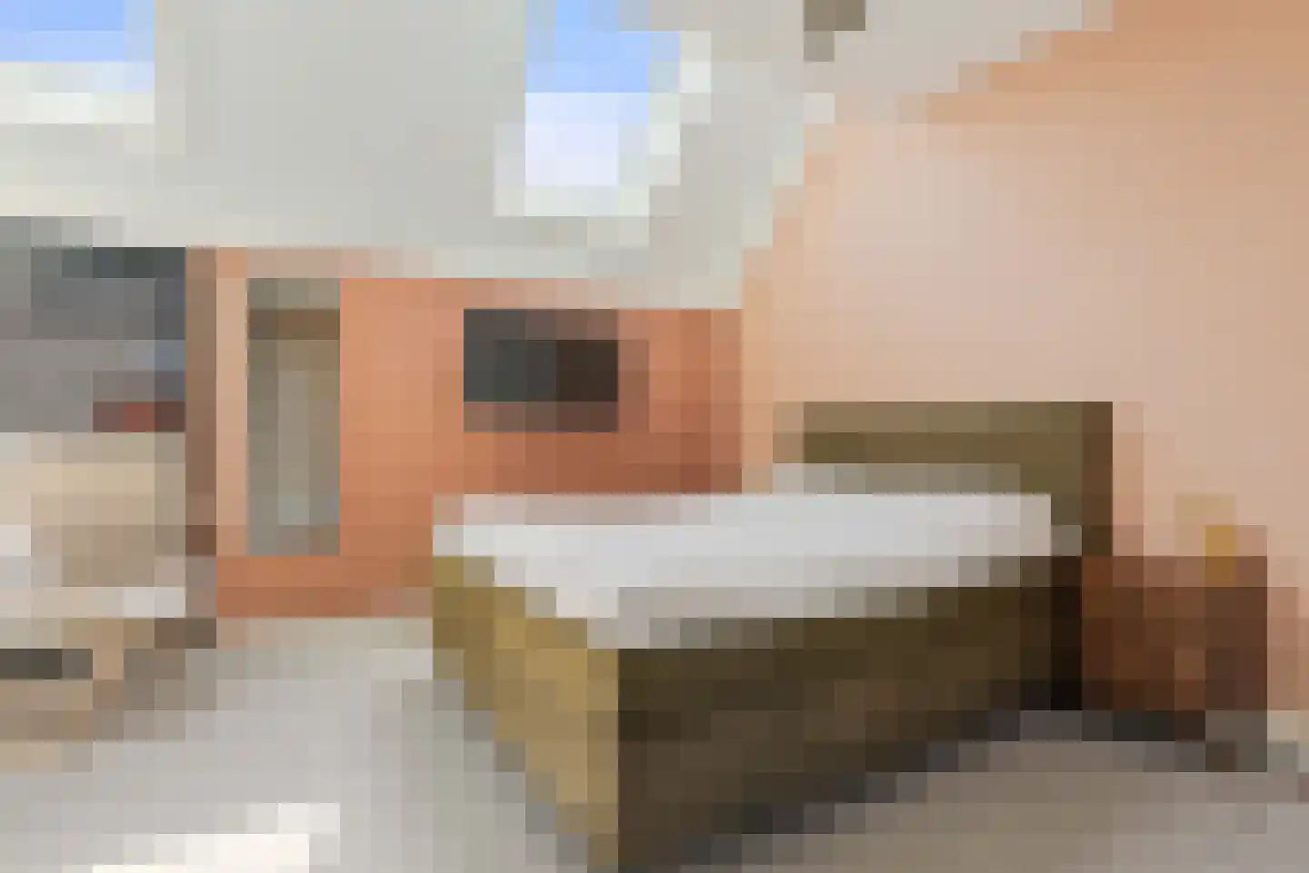 Stevenshoeve 15 Veghel thumbnail 22