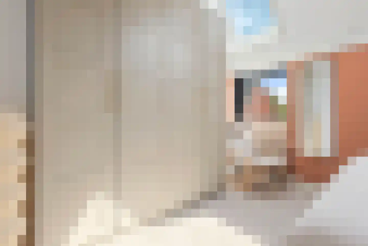 Stevenshoeve 15 Veghel thumbnail 23