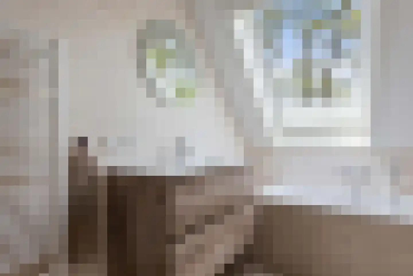 Stevenshoeve 15 Veghel thumbnail 37