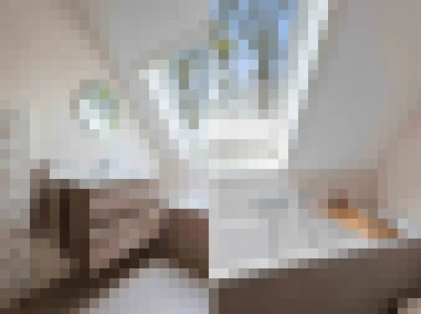 Stevenshoeve 15 Veghel thumbnail 40