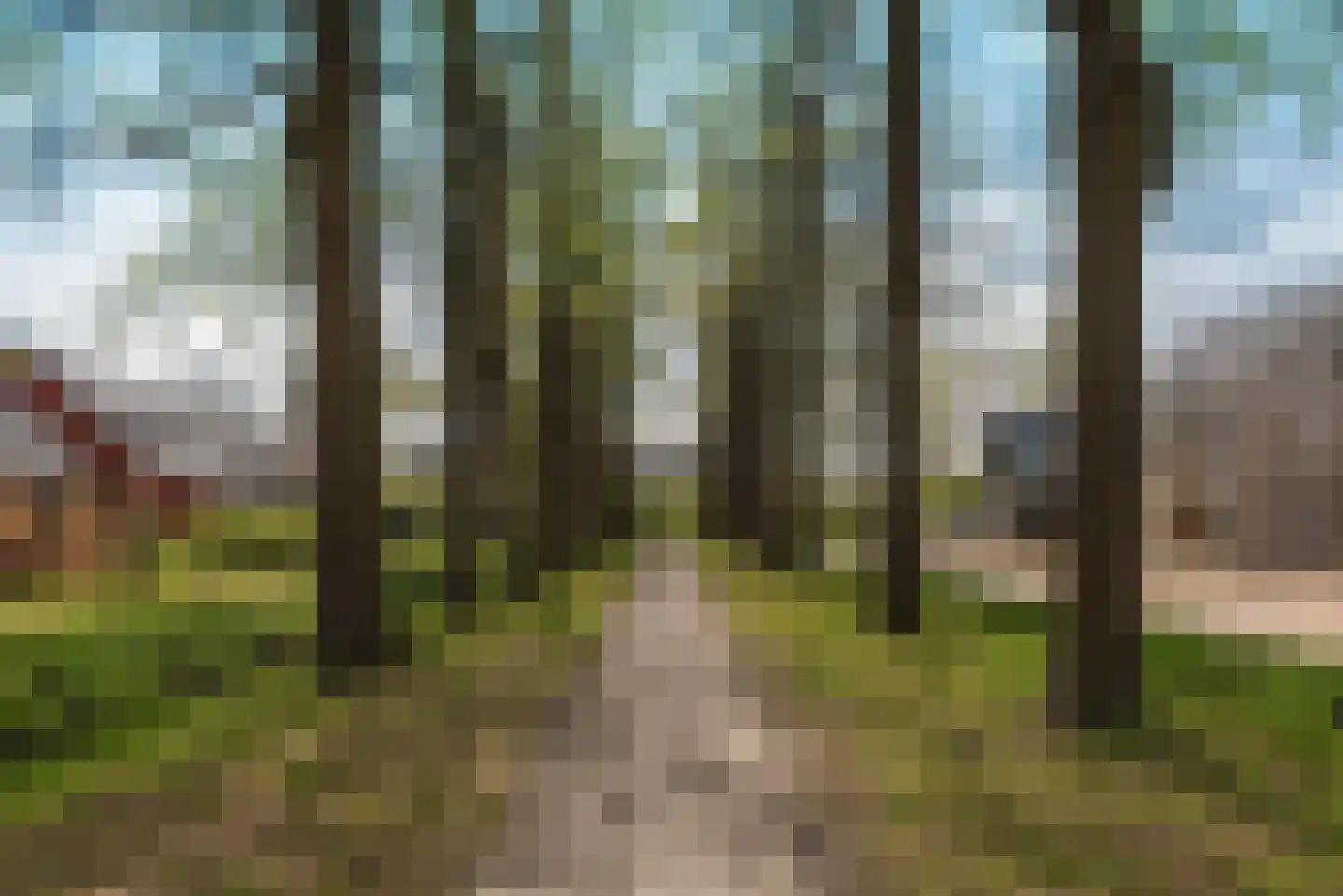 Stevenshoeve 15 Veghel thumbnail 46