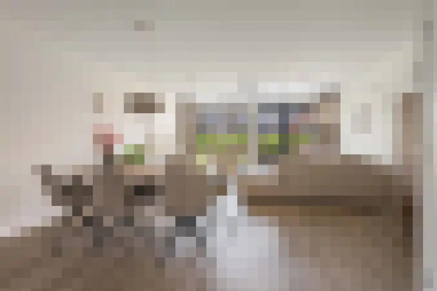 Stevenshoeve 15 Veghel thumbnail 5