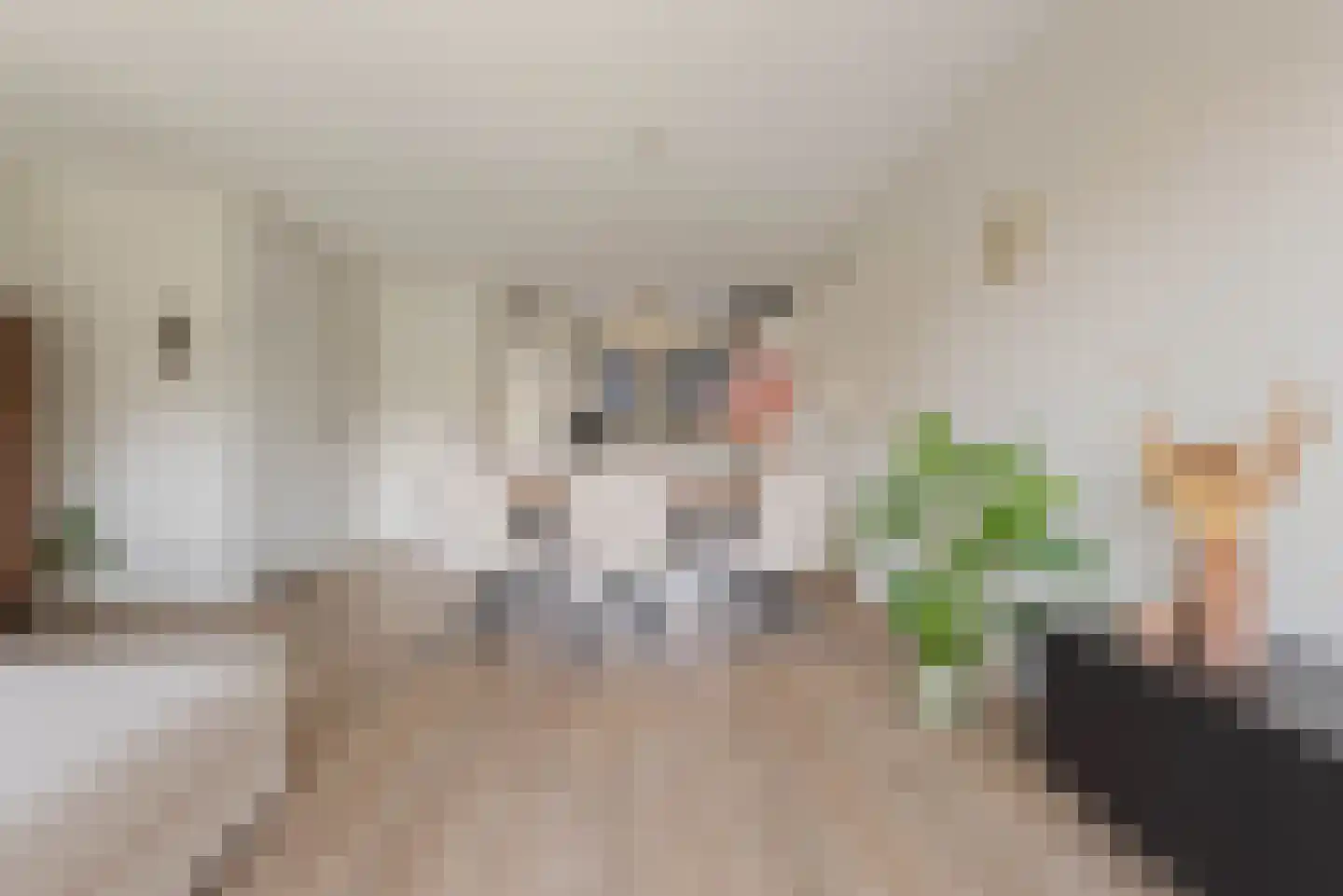 Stevenshoeve 15 Veghel thumbnail 8