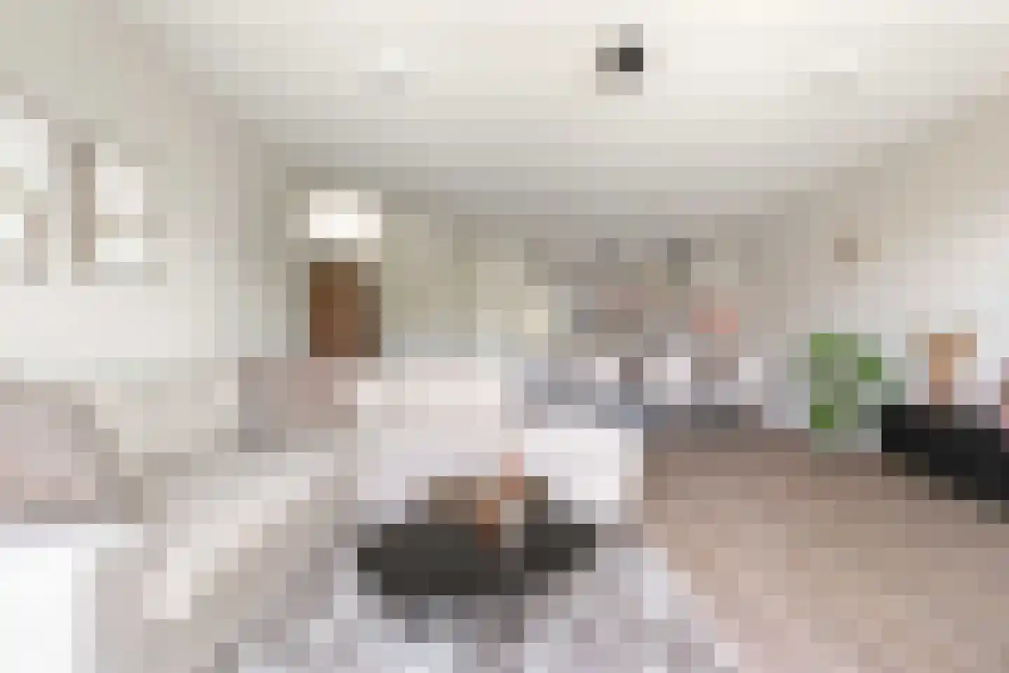Stevenshoeve 15 Veghel thumbnail 9