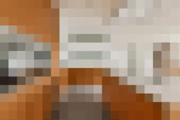 Stevenshof 103 Dordrecht thumbnail 12
